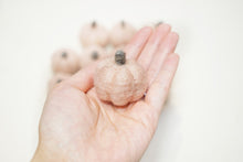 Load image into Gallery viewer, Felt Pumpkins - Barely Pink
