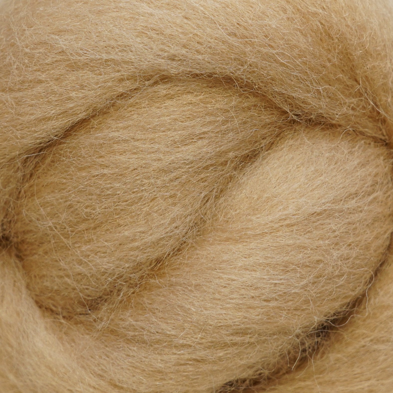 Cookie Corriedale Wool Roving